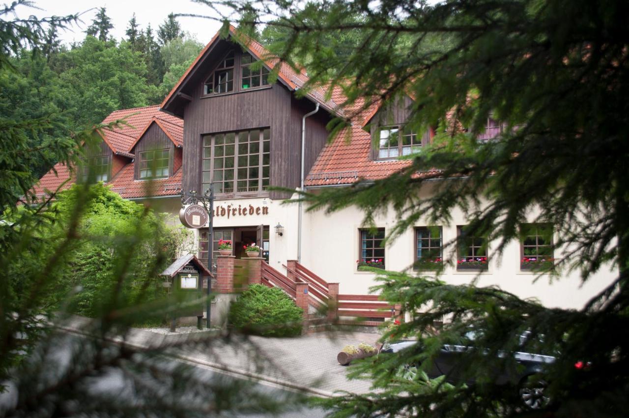 Hotel Waldfrieden Waldheim Exteriér fotografie